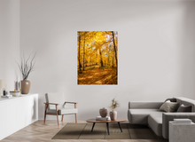 Load image into Gallery viewer, 42 x 56″, Glossy Canvas On Stretcher Frame NO TITLE
