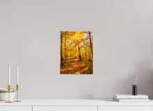 Load image into Gallery viewer, 9 x 12″, Glossy Canvas On Stretcher Frame NO TITLE
