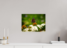 Load image into Gallery viewer, 16 x 12″, Photo Print On Fuji Crystal DP II Dibs!
