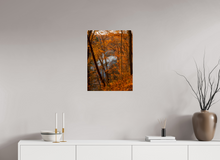 Load image into Gallery viewer, 18 x 24″, Photo Print On Fuji Crystal DP II NO TITLE
