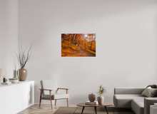 Load image into Gallery viewer, 36 x 24″, Photo Print On Fuji Crystal DP II NO TITLE
