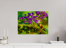 Load image into Gallery viewer, 20 x 15″, Glossy Canvas On Stretcher Frame Nature's Snack
