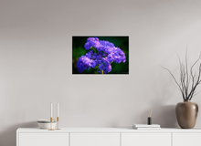 Load image into Gallery viewer, 24 x 16″, Glossy Canvas On Stretcher Frame Purp Alpha
