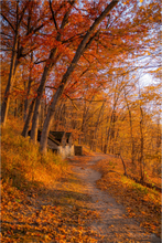 Load image into Gallery viewer, Main image NO TITLE
