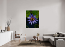 Load image into Gallery viewer, 42 x 56″, Photo Print On Fuji Crystal DP II Purp Petal

